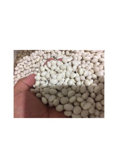 Akkuş Şeker Kuru Fasulyesi 1kg