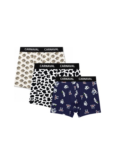 Carnaval Socks Carnaval Lazy Friends Erkek Boxer 3 Lü Set Çoklu
