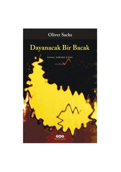 Oliver'ın Dayanma Gücü, İlginç Bir Roman