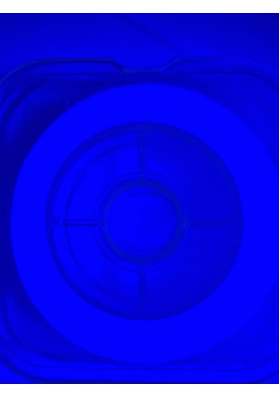 Ea genset Organze İp Çapari İpi Ultraviyole Uv Neon Beyaz Moraran