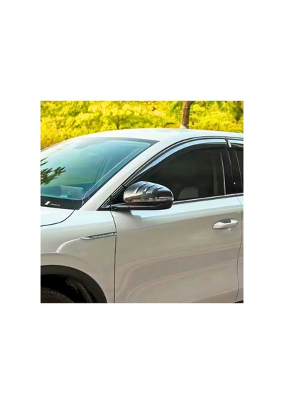 Red Lion Parts Byd Seal U Karbon Fiber Görünüm Yan Dikiz Ayna Kapakları 2 Li Set Abs