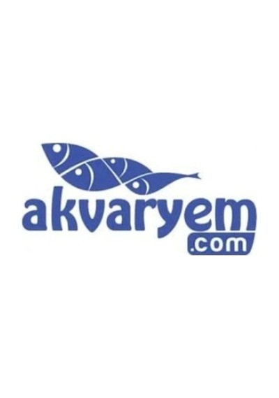 Lifetech Jebo 835-838-825-828-829-839 Musluk Bağlantısı Contaları