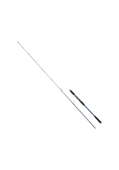 Ryuji Strobe 198 Cm 20-80 Gr Jig Kamış Ryjssp198-2080