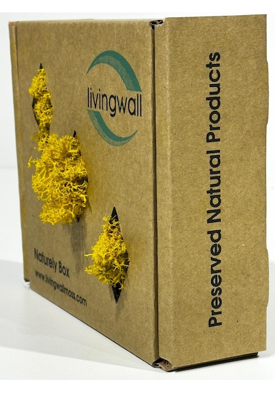 Reindermoss Şoklanmış Norveç Yosunu Terarium Yosunu Sarı 100 Gr.