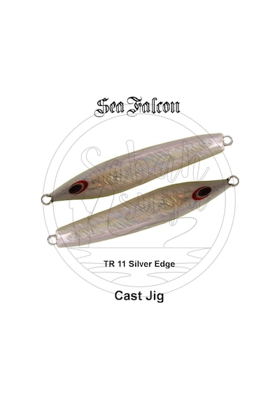 Sea Falcon Cast Jig 40Gr Tr-11 Silver Edge