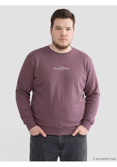 Lcwaıkıkı Classic Mürdüm Regular Fit Bisiklet Yaka Baskılı Erkek Sweatshirt