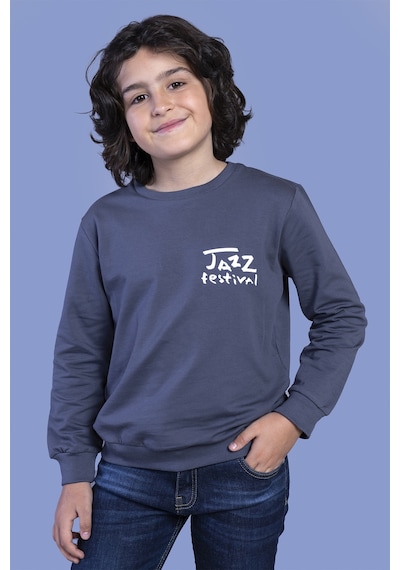 Toontoy Kids Toontoy Erkek Çocuk Baskılı Sweatshirt Füme