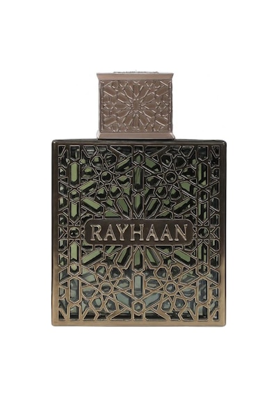 Rayhaan Terra Erkek Parfüm 100 Ml Diğer