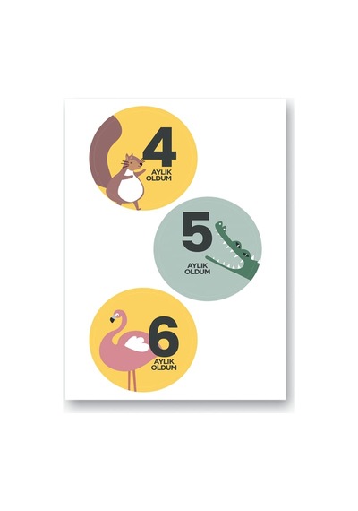 Le Color Lecolor Bebek Sticker Seti Abanoz