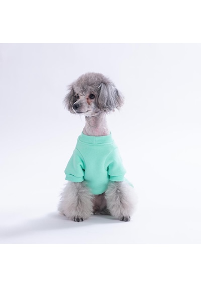 Mint Arosa Nivalis Çiçek Nakışlı Kedi Köpek Elbisesi Köpek Kıyafeti Kedi Kıyafeti