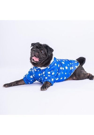 Pawstar Mavi Stars Yağmurluk Küçük Ve Orta Irk-20196