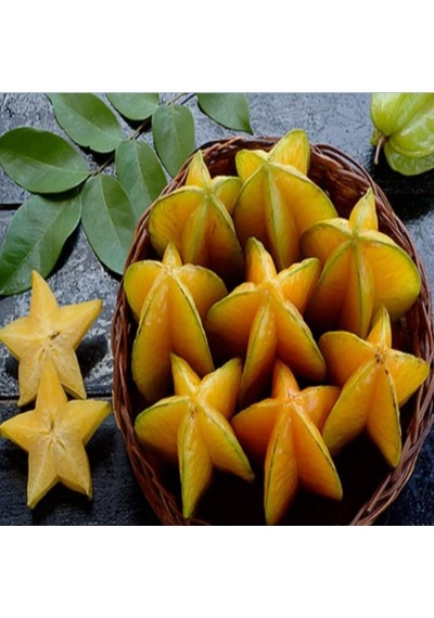 Aşısız Star Fruit Fidanı 2 Yaş 25-30 Cm