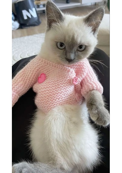 Busako Cat Özel Tasarım Kedi Kıyafeti