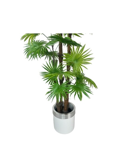 Yapay Ağaç Yelpaze Palmiye 4katlı Fanpalm 32 Yaprak Gümüş Kemerli Beyaz Saksıda 170 65cm