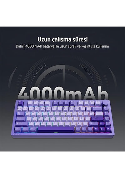 Philips Evnia Spk8618uprh Mekanik Hot Swap Switch Rgb Kablosuz Mor Klavye Spk8618uprh/38