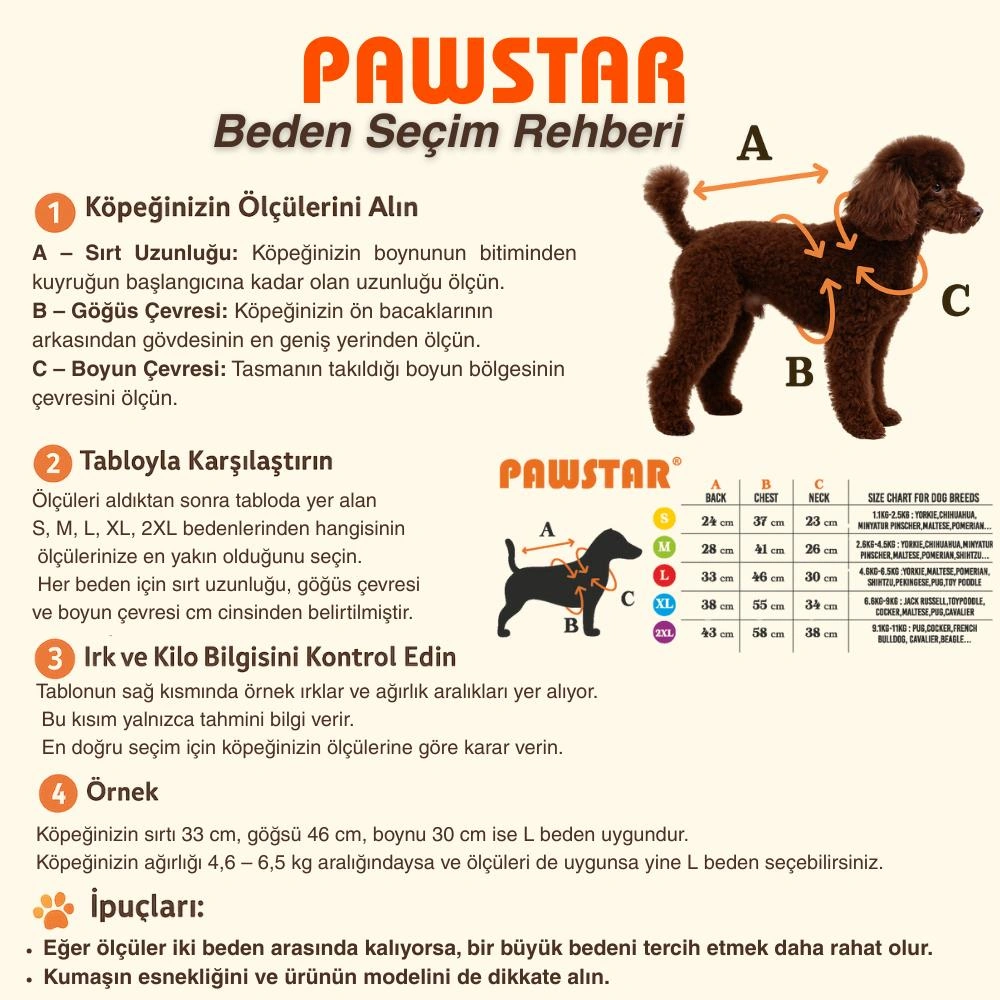 Yeşil Seattle Storm Good Energy Nakışlı Köpek Sweati Köpek Kıyafeti Kedi Kıyafeti