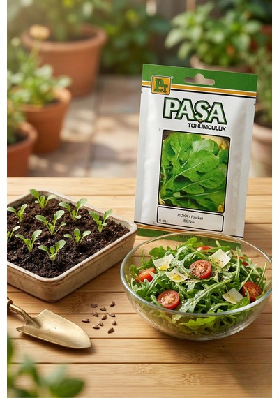 Paşa Roka Tohum 10 Gr