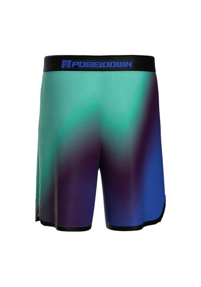 Pose I Down Aurora Veil Boardshort Erkek Fizik Ve Deniz Şortu Mavi