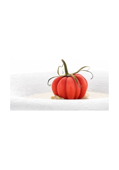 36.330.36.0065 Silikomart Pomodoro 24 Silikon Kalıp Kahverengi