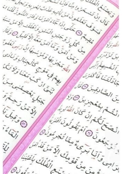 Kur'An-I Kerim Bilgisayar Hatlı Pembe Renk Hafız Boy (Kur-An 0...