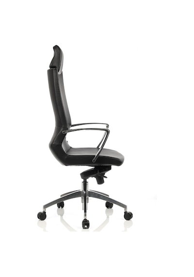 Burosit Bürosit Omega 9 Başlıklı Yönetici Koltuğu