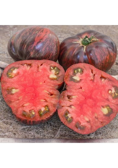 Marshas Starfighter Beefsteak Domates Tohumu 15 Tohum
