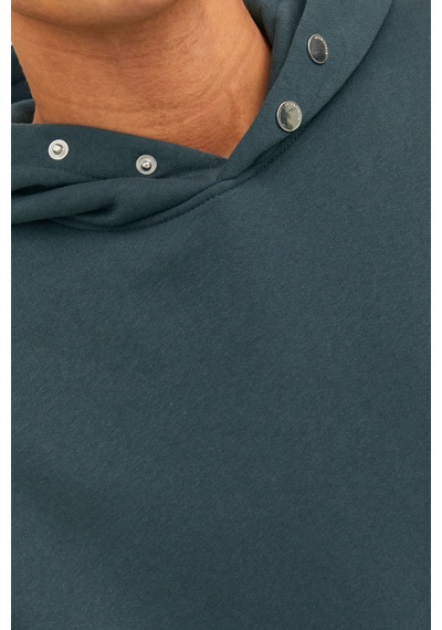 Jack & Jones Jorvesterbro Back Sweat Hood Sn Çok Renkli