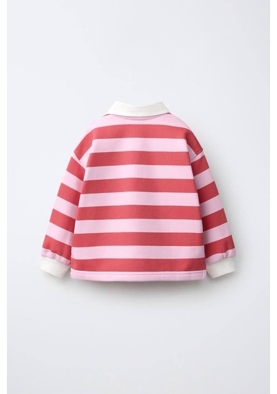 Poala Kids Milano Ayı Nakışlı Polo Çok Renkli