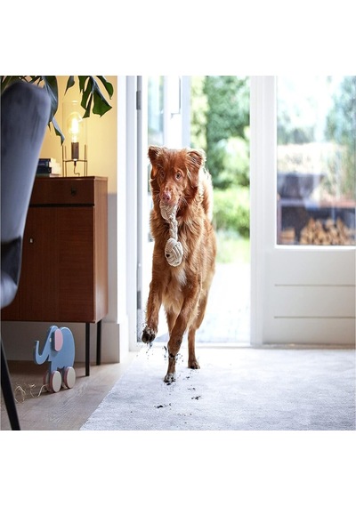 Bissell Spotclean Pet Pro Evcil Hayvanlı Evlere Özel Halı-koltuk Yıkama Ve Leke Çıkarma Makinesi 750w 15585