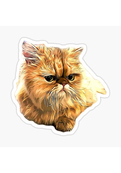 Cins Kedi Iran Kedisi Araba Oto Sticker Etiket Renkli Z1