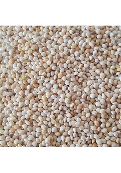 Muhabbet Kuşu Yemi Sade Ak Darı 25 Kg - Beyaz Darı 1 Torba Kuş Ye