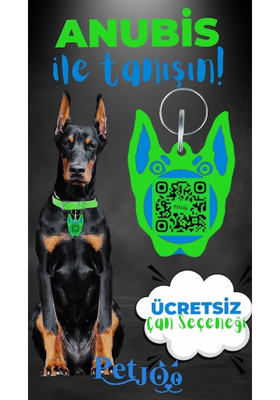 Petjoo 30.Anubis Mavi-Yeşil Qr'lı Köpek Künyesi