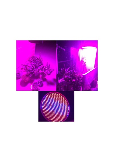 Sera Bitki Lambası 800 Led 80 Watt Standart Duy Isınmayan