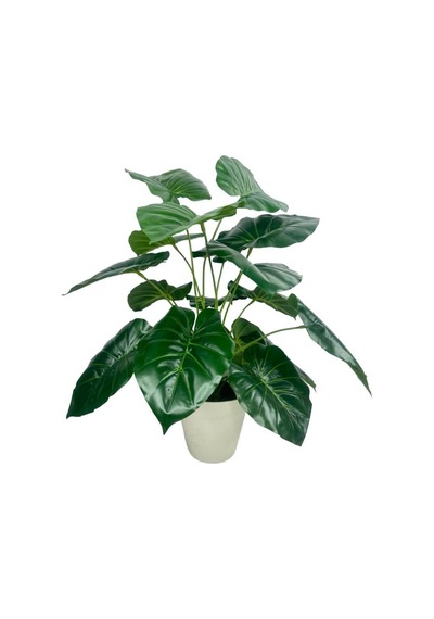 Yapay Çiçek Difenbahya Yeşil Salon Çiçeği 50cm Beyaz Saksılı Yapay Bitki