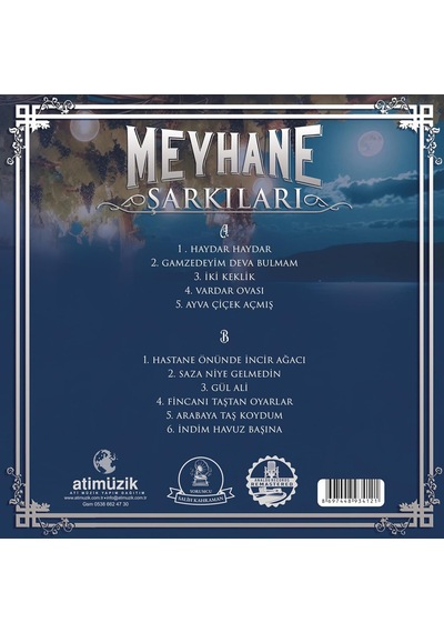 Salih Kahraman Meyhane Şarkıları Plak, Lp, Türk Halk Müziği, Analog Remastered