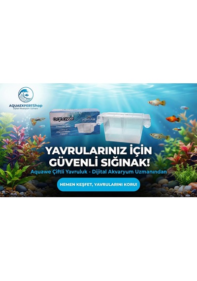 Aquawe Çiftli Yavruluk - Şeffaf Tasarım - 19,5 X 10 Cm - Şeffaf Vantuzlu - Sağlam Yapı - Balıklar İçin Güvenli