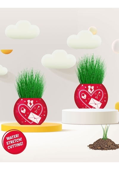Çim Adam Aşk Love 2 Adet Sevgiliye Hediye Konsept Sevgililer Günü Hediyelik