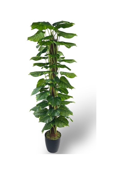 Yapay Çiçek Pothos Salon Sarmaşığı Tropik Salon Bitkisi Yapay Ağaç 165cm