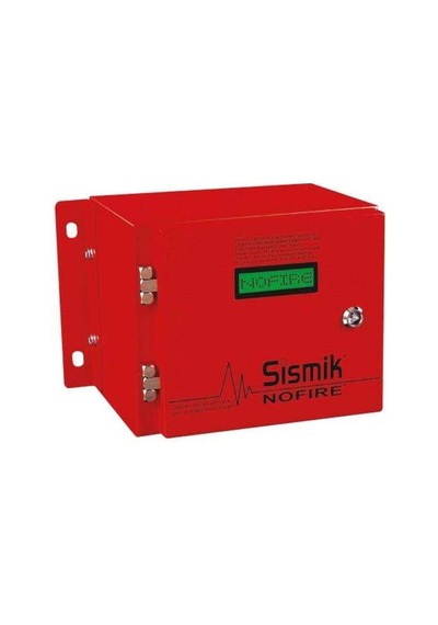 Nfe Mekanik Deprem Sensörü
