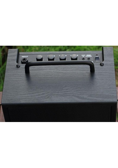 Ibanez Ibz10Bv2 Bas Gitar Amfisi (Jak Kablo)