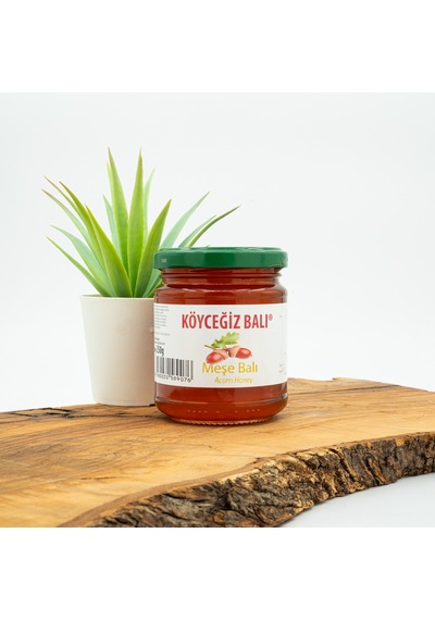 Köyceğiz Balı Meşe Balı Cam Kavanoz 250 G