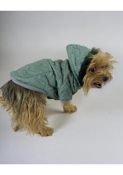 Kemique Green Comfy Köpek Montu Ceketi Köpek Dış Giyim