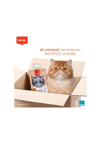 2As Wanpy Taze Somonlu&tavuklu Kedi Et Ezmesi 90 Gr Tekli 12 Gri