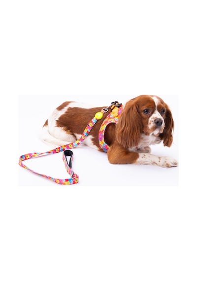 Monsters Leash Kedi Köpek Sevk & Gezdirme Kayışı Köpek Uzatma Tasması-1,5cm Çok Renkli