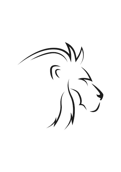 Aslan 5 Folyo Sticker 160cm Uzunluk Siyah