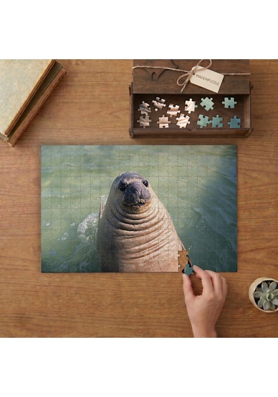 Güney Deniz Fili Tasarımı 240 Parça Ahşap Puzzle Ahşap Kutuda Mpy60118