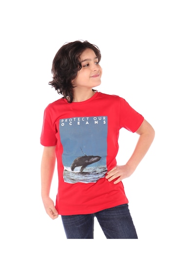 Toontoy Erkek Çocuk Baskılı Tişört Kırmızı