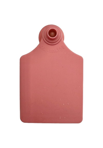 100 Adet Pembe Xl Büyükboy Hayvan Küpesi Pens Ucu Hediye