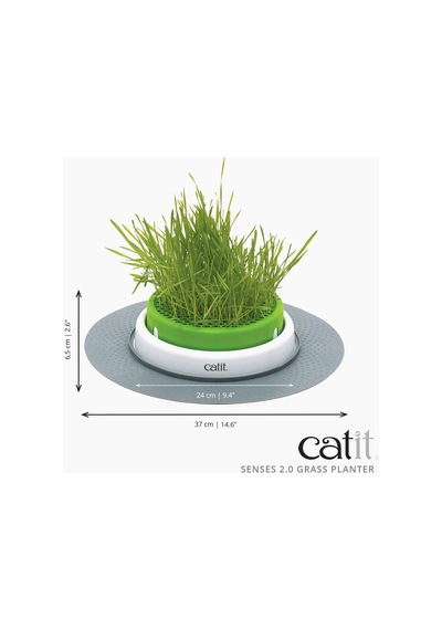 Grass Planter, Kedi Otu, Kapaklı Kedi Kazığı, 1 Adet Tekli Paket