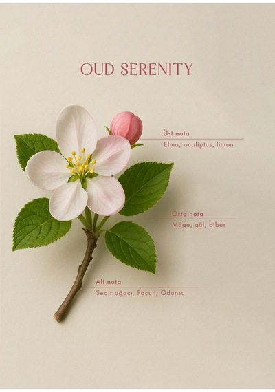 Bella Maison Oud Serenity Oda Spreyi Amber 500 Ml Gül